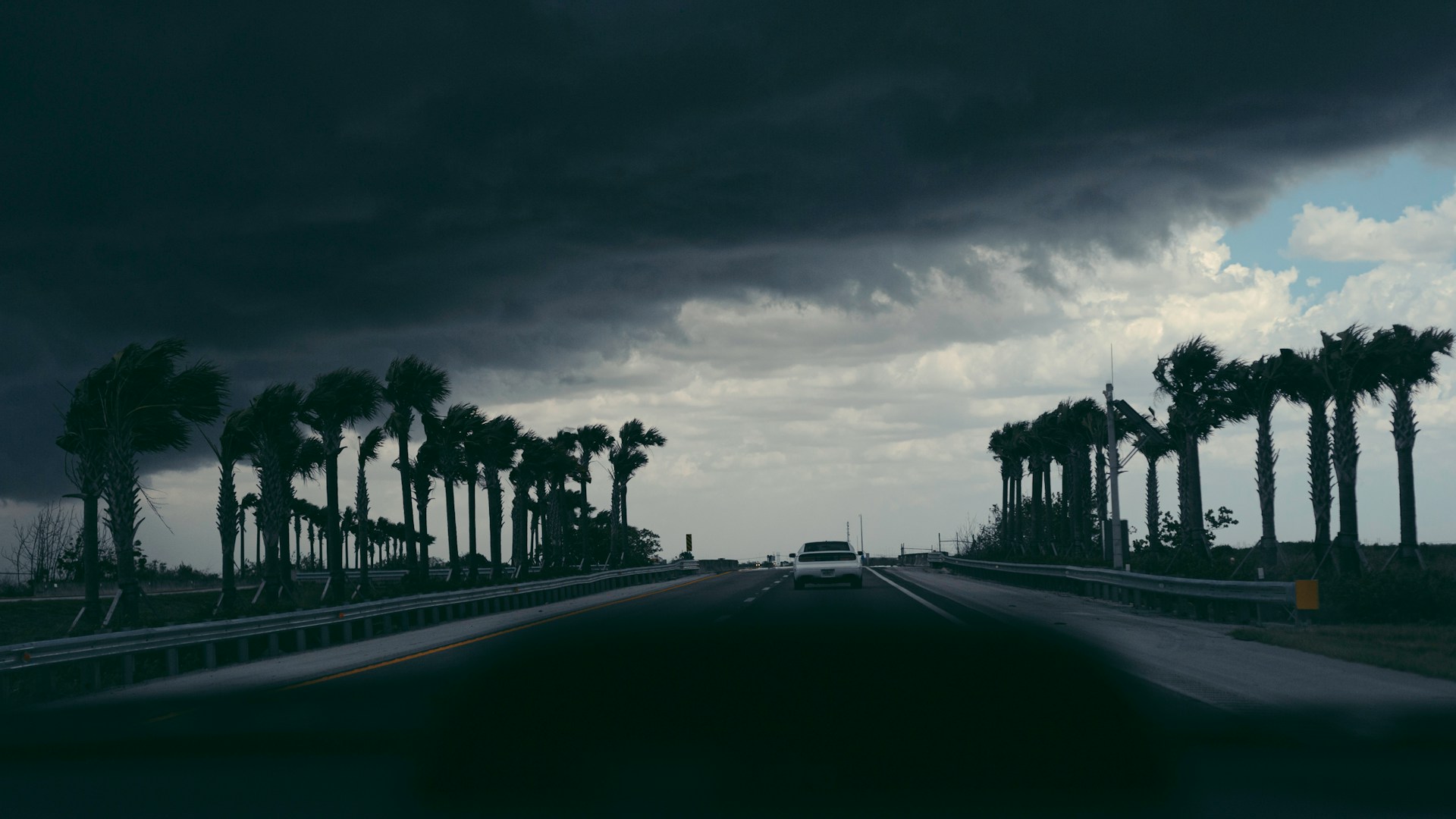 stock image of a hurricane blowing into Fla. Image shows a highway lined with palm trees and a large storm cloud coming into the frame from the left